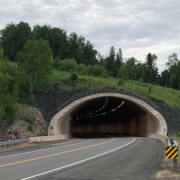 lafayette tunnel highway 61 mn